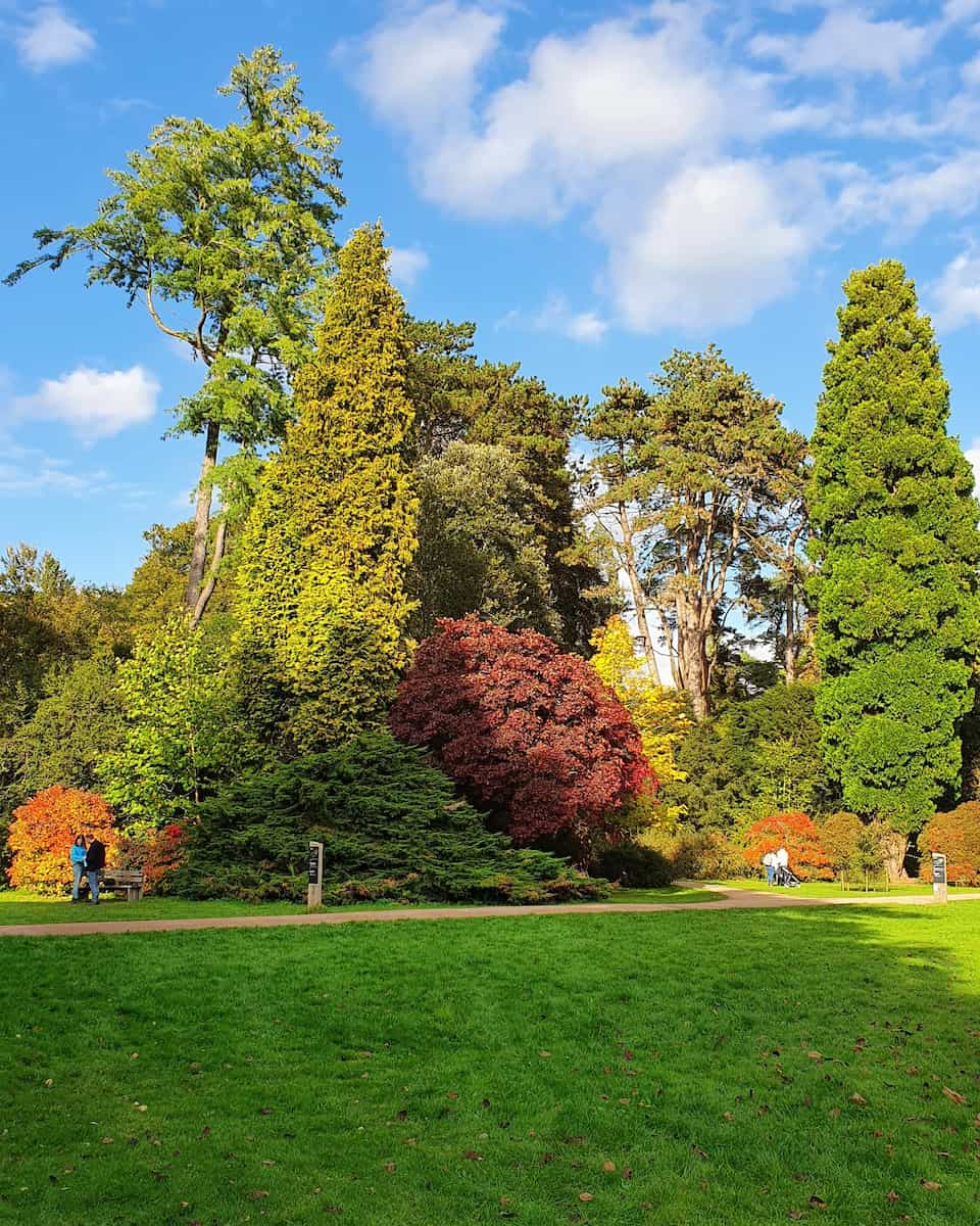 Westonbirt Arboretum