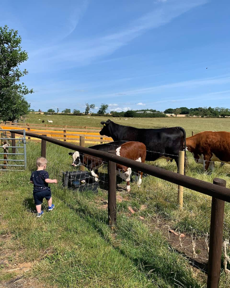 Whitehouse Farm, England