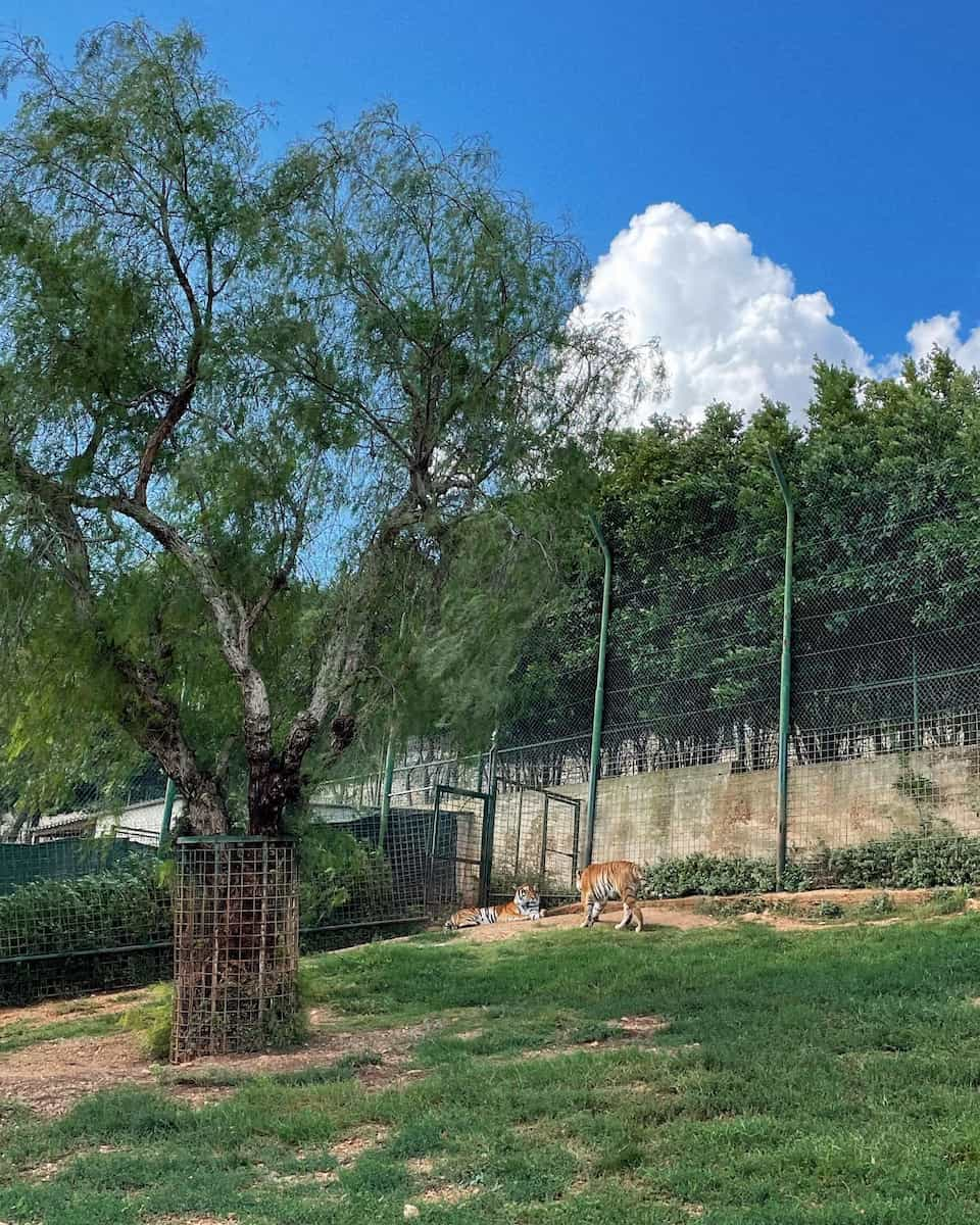 Zoosafari Fasanolandia, Puglia