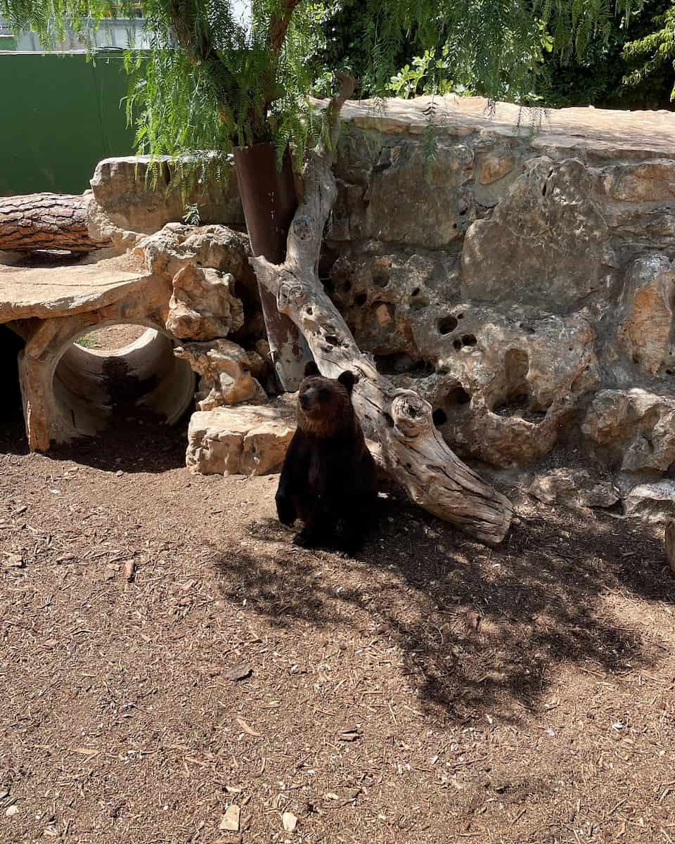 Zoosafari Fasanolandia, Puglia