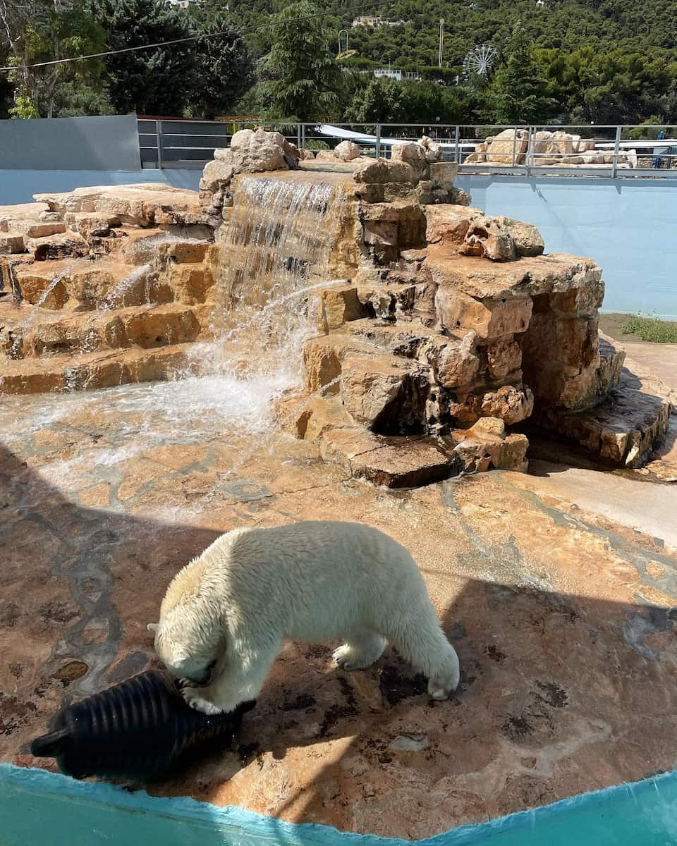 Zoosafari Fasanolandia, Puglia