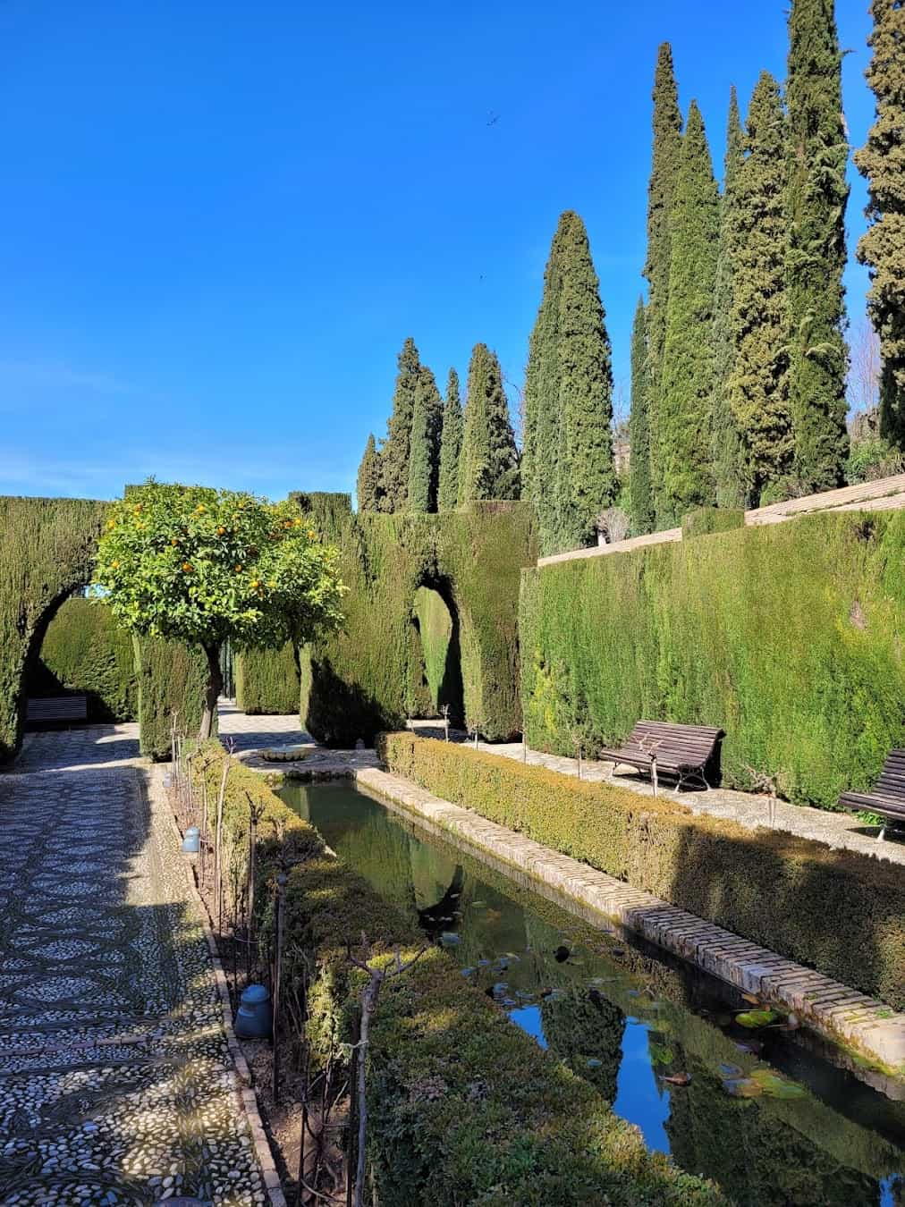 Alhambra's Nasrid Palaces, Granafa