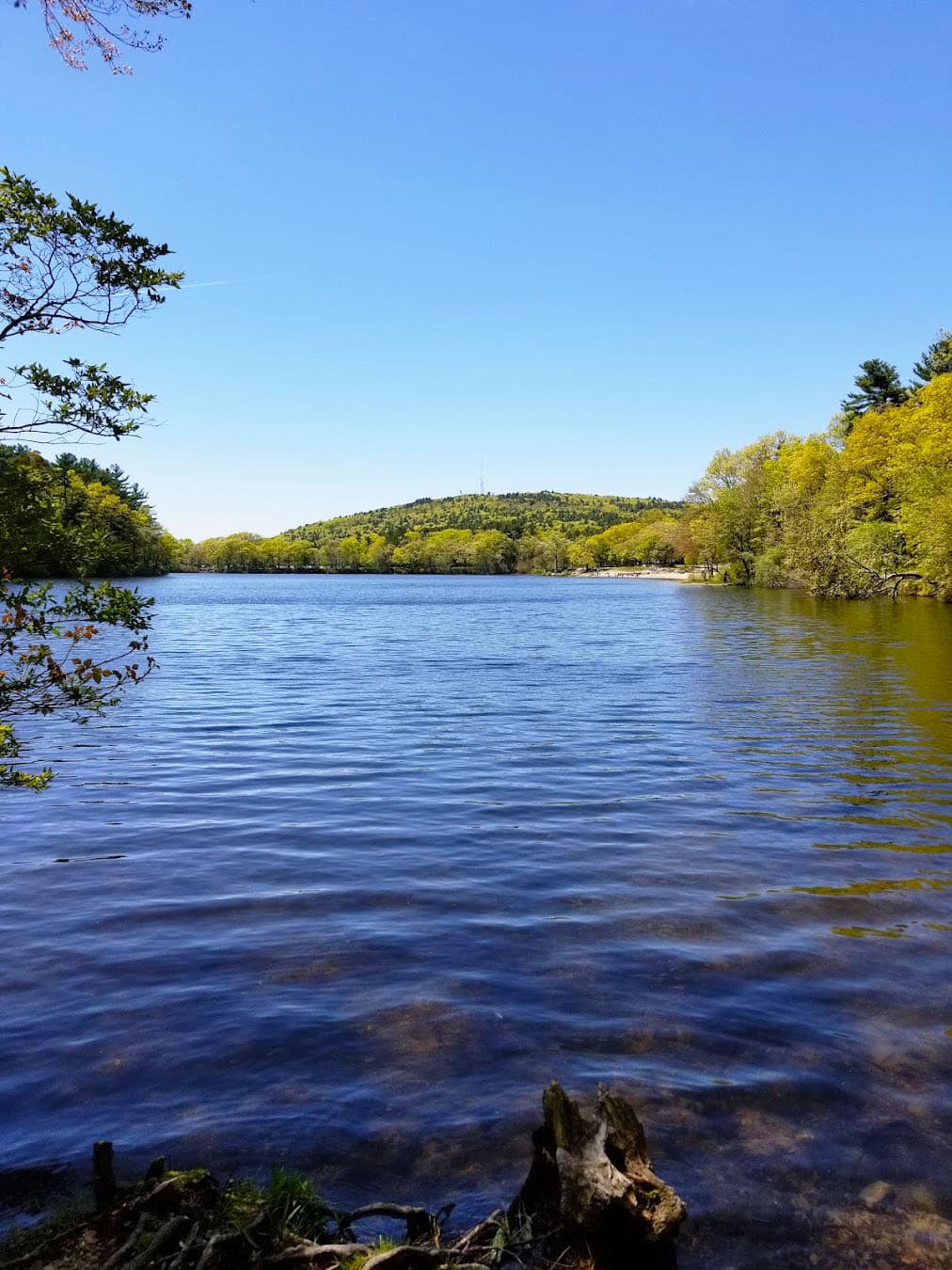 Blue Hills Reservation Lake, Boston