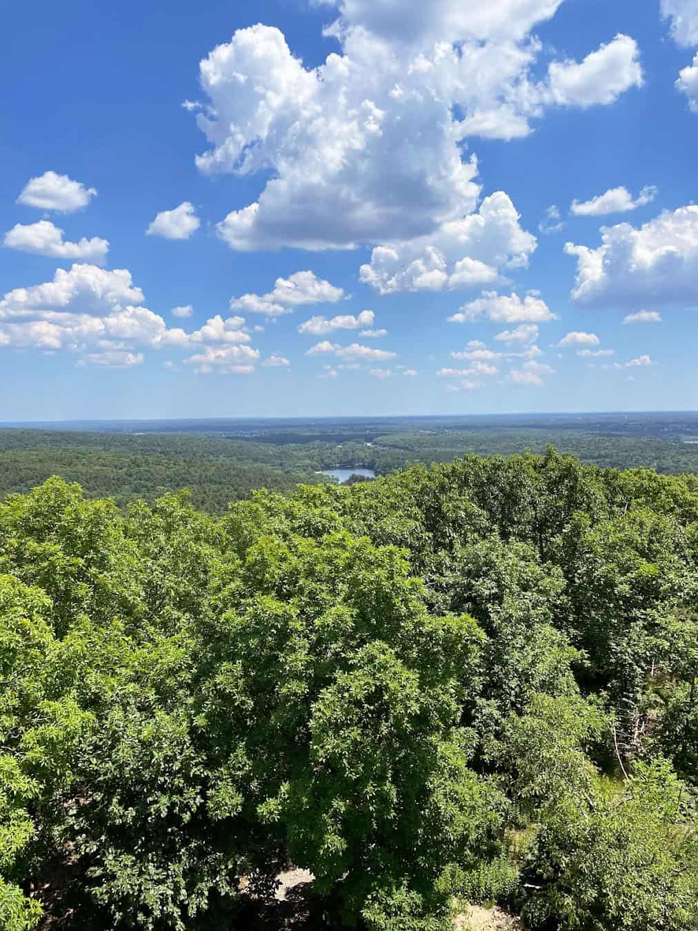 Blue Hills Reservation Panoramic View, Boston