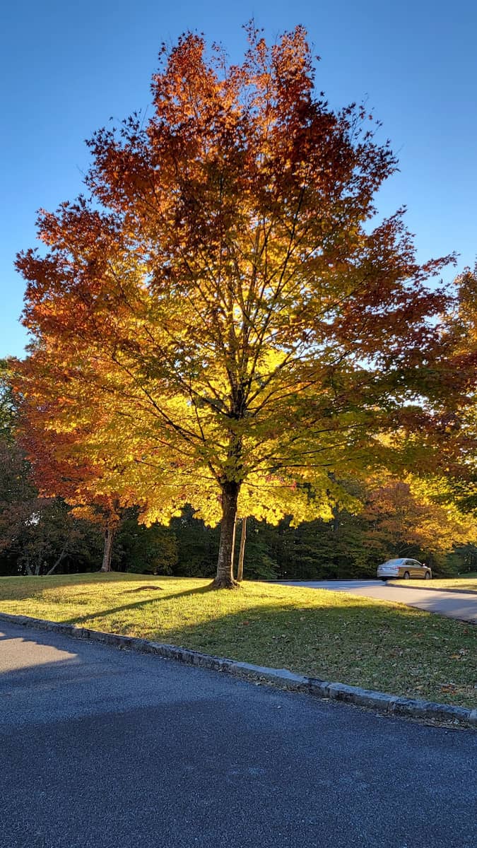 Blue Ridge Parkway