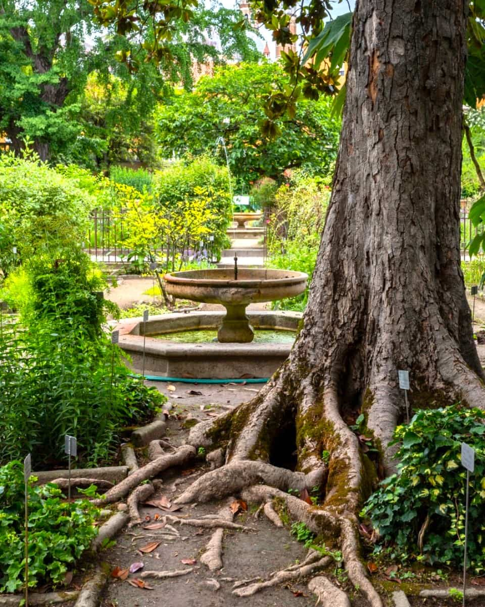 Botanical Garden, Padua