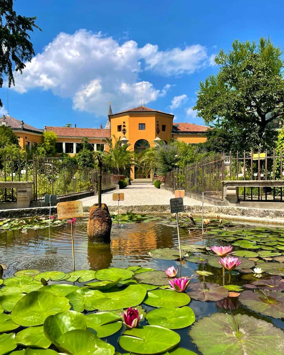 Botanical Garden, Padua