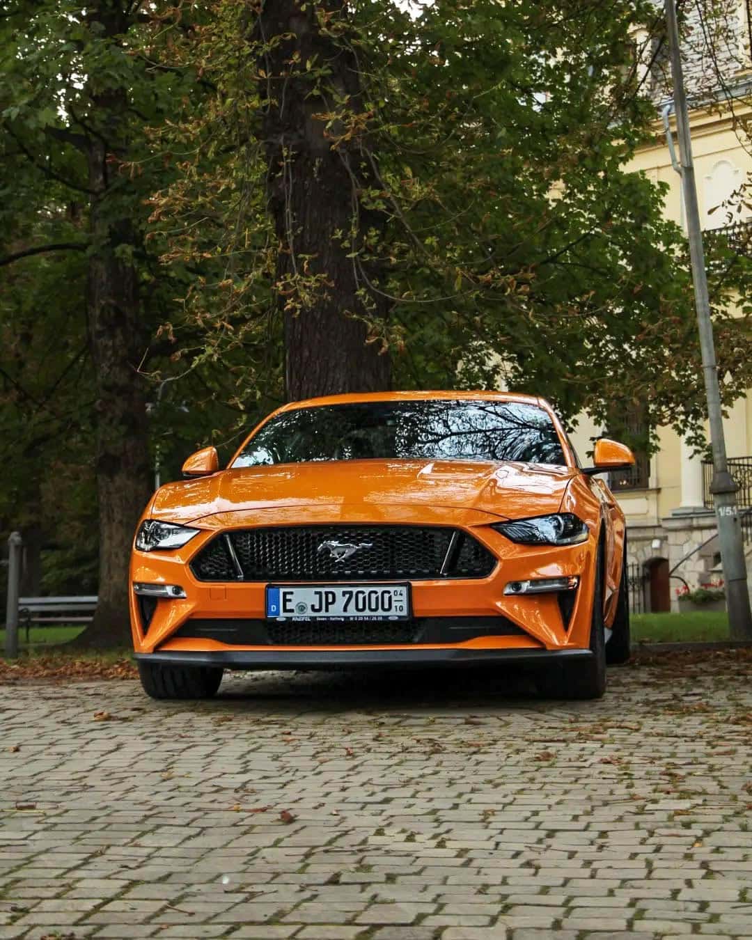 Carrental Berlin, Germany Carrental Berlin, Germany
