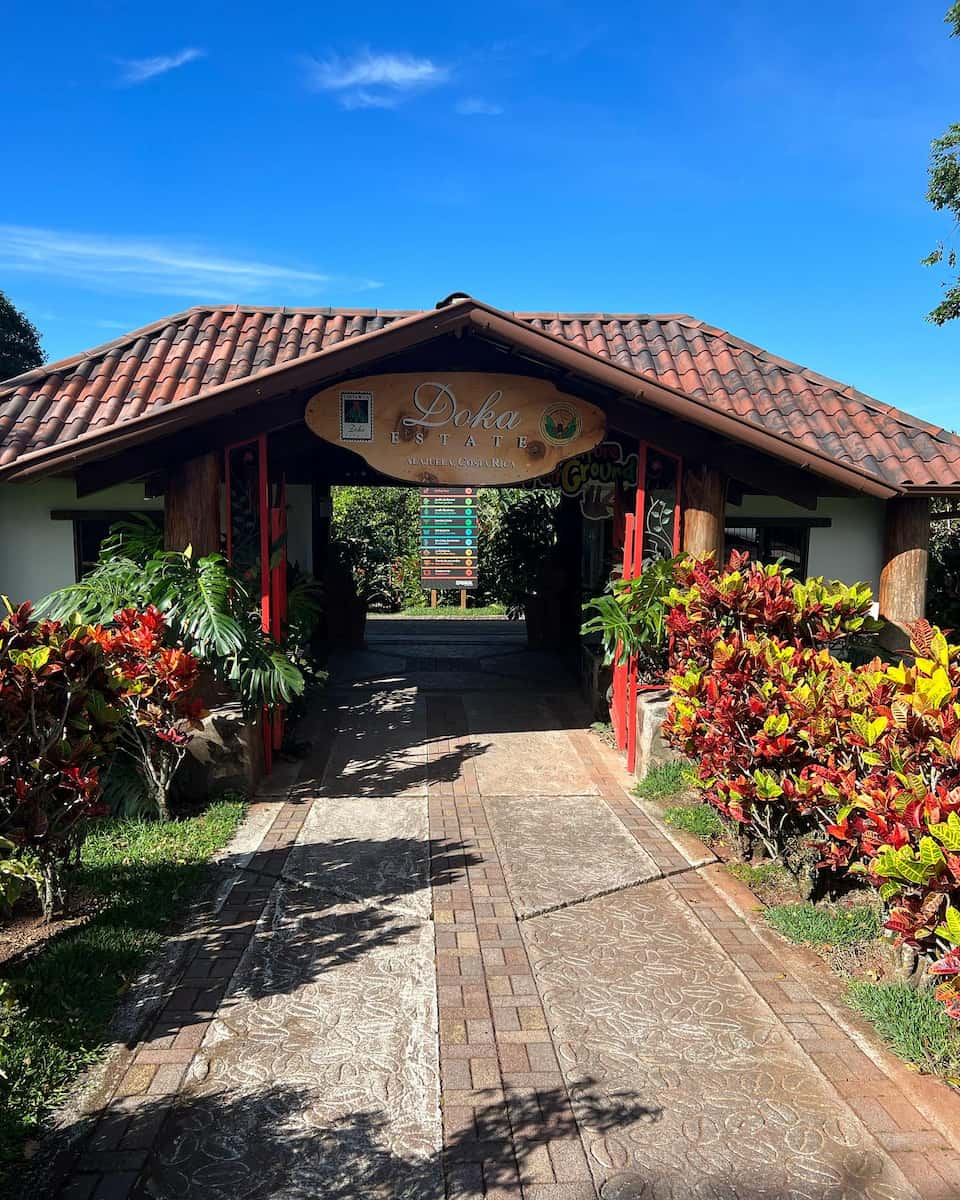 Coffee Plantation, Costa Rica