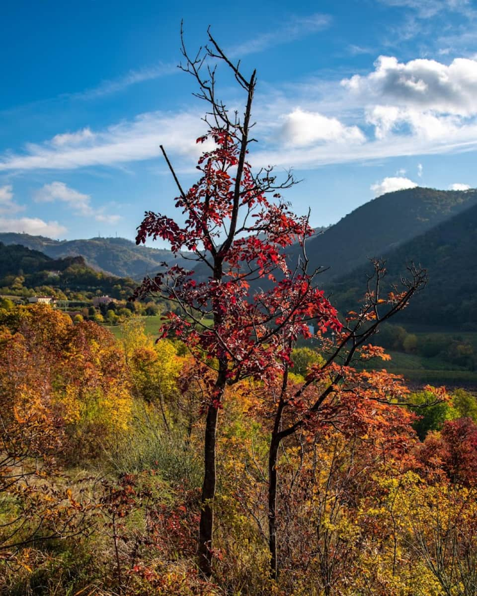 Euganean Hills