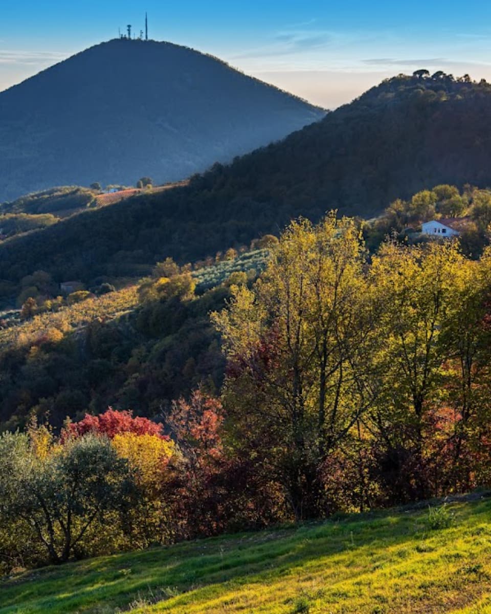 Euganean Hills