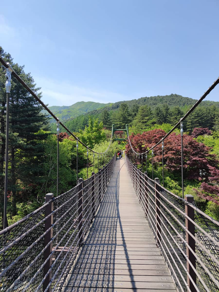 Garden of Morning Calm Seoul