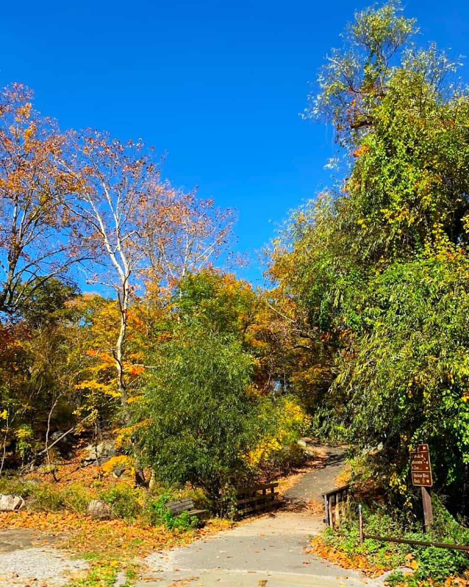 Harriman State Park, NYC