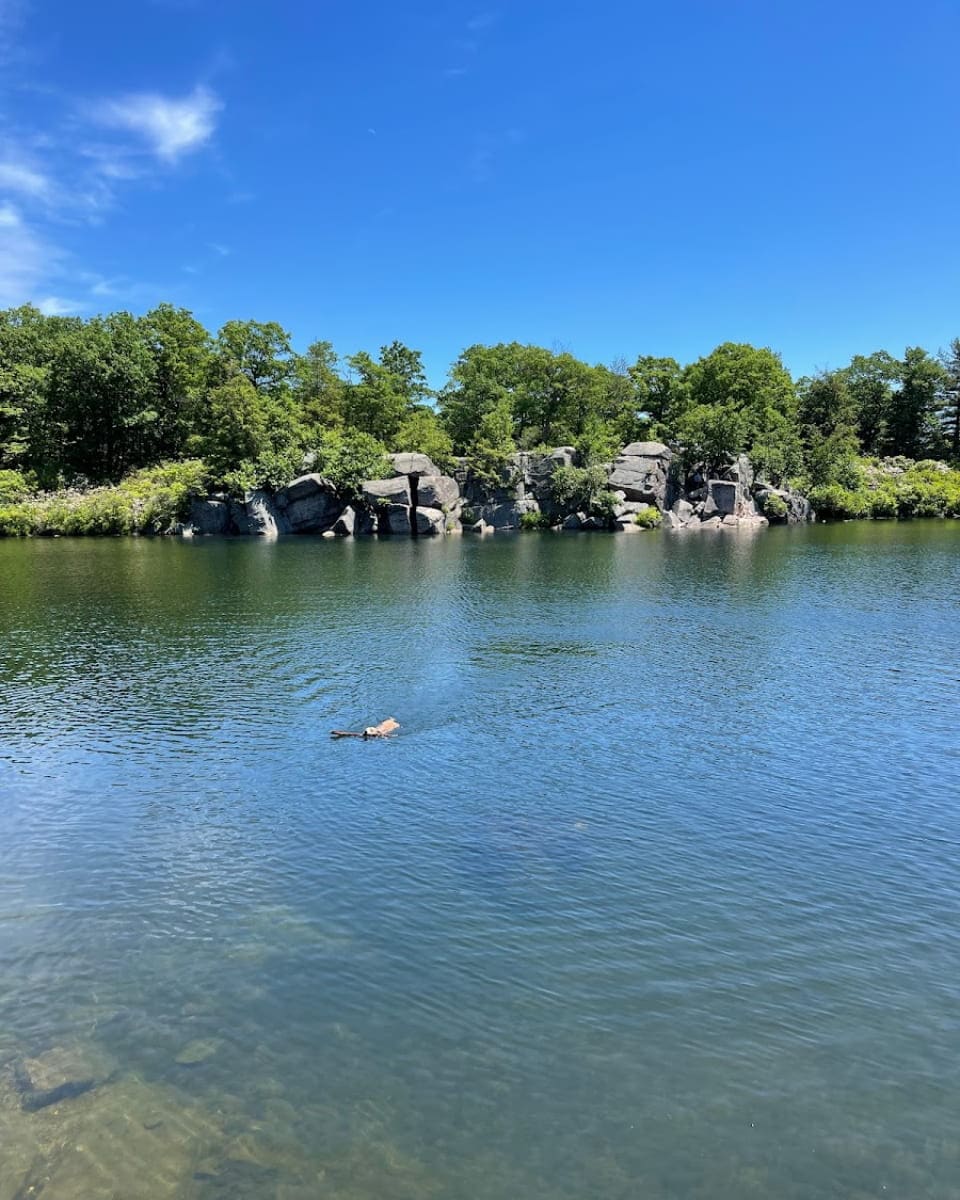 Harriman State Park, NYC