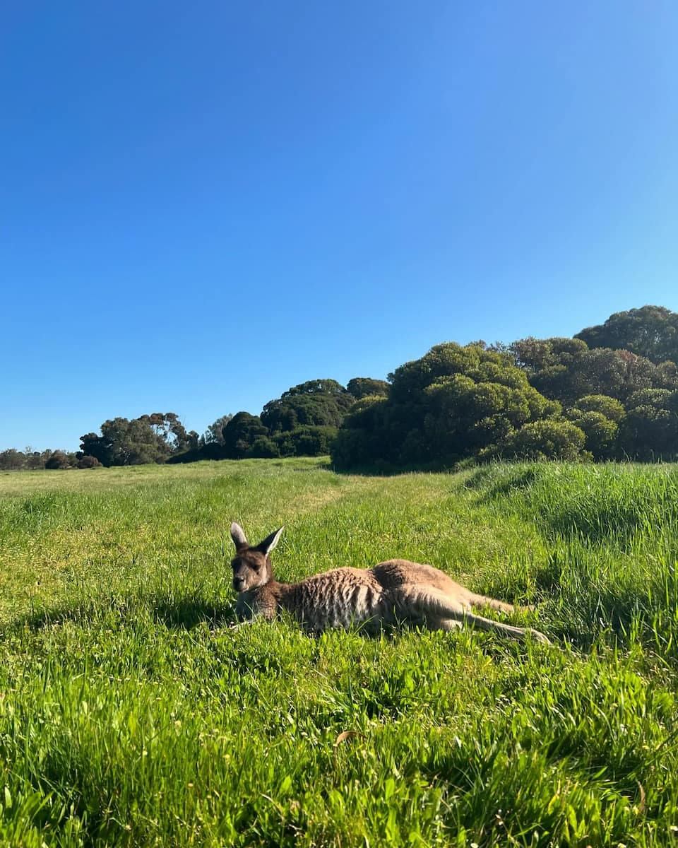 Heirisson Island, Perth