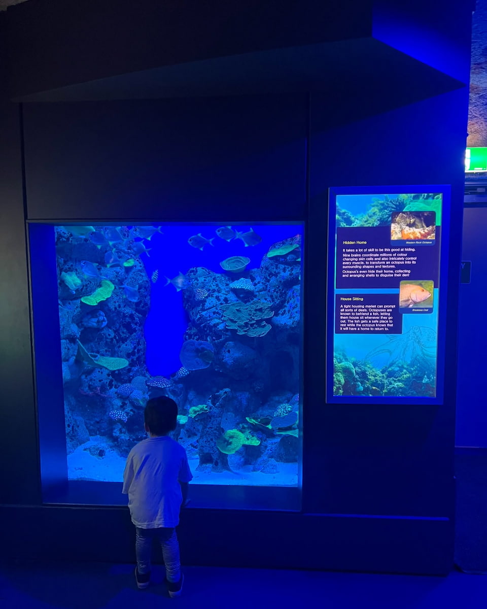 The Aquarium of Western Australia, Perth