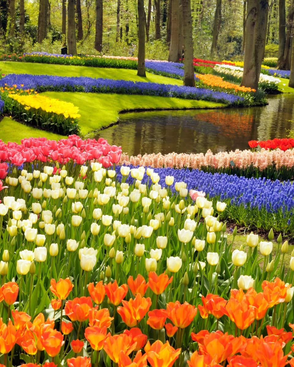 Keukenhof Gardens, Amsterdam