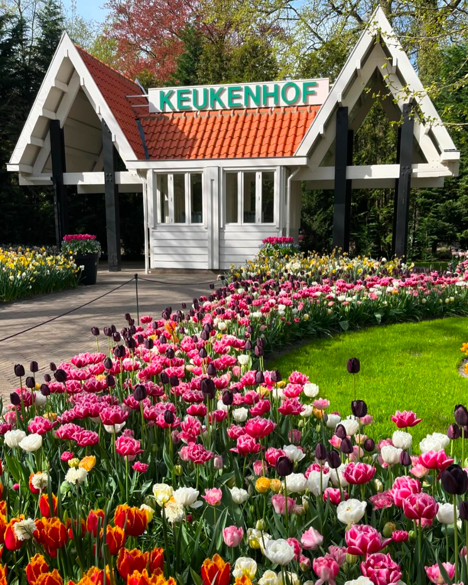 Keukenhof Gardens, Amsterdam