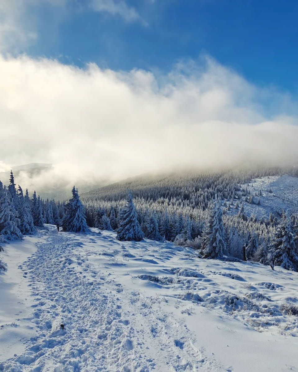 Krkonoše Mountains, Czech Republic