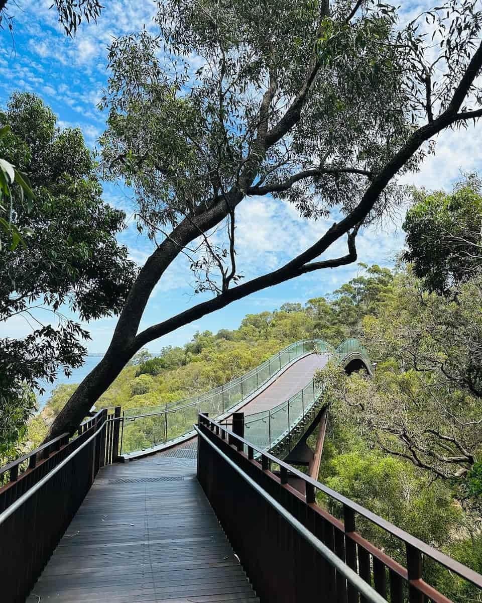 Lotterywest Federation Walkway, Perth