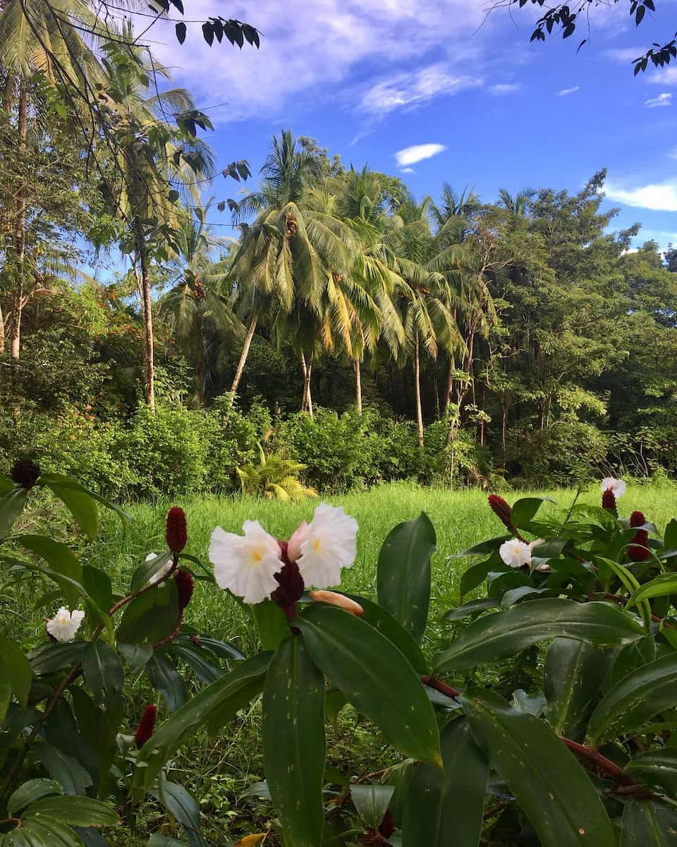 Manuel Antonio National Park, Costa Rica