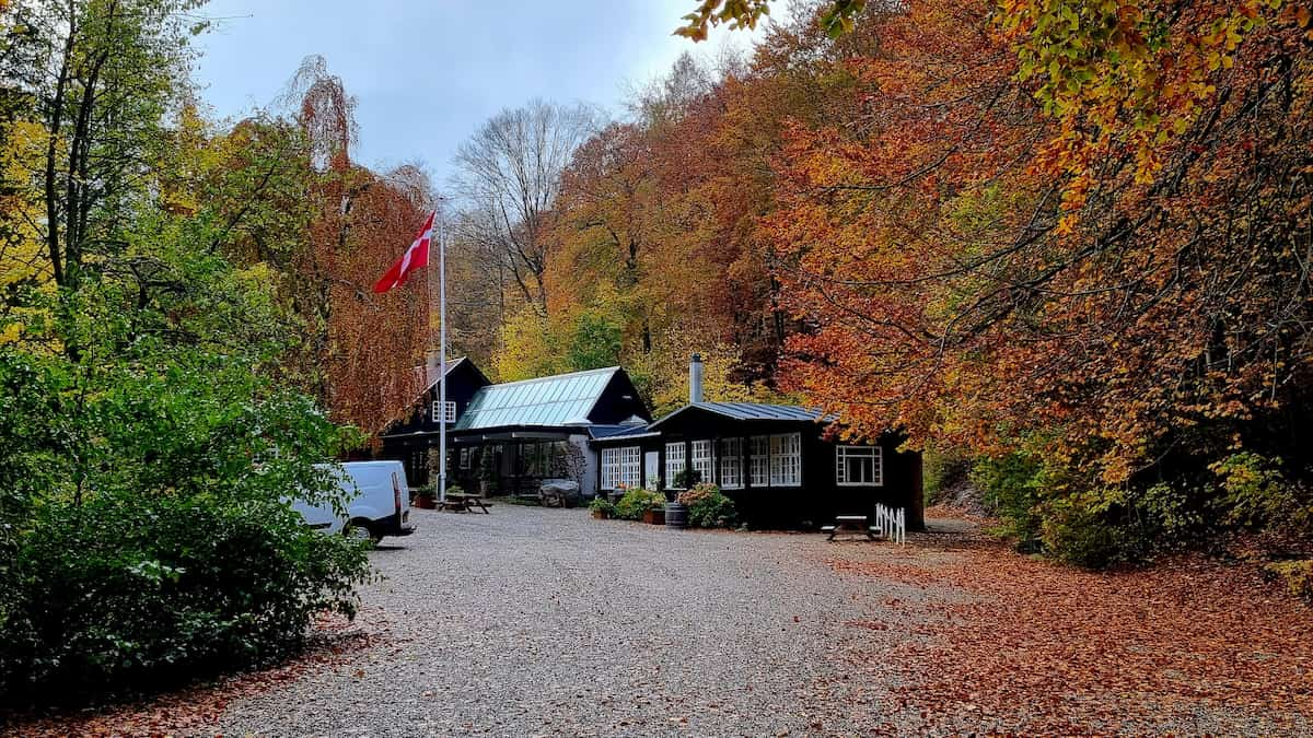 Marselisborg Forests