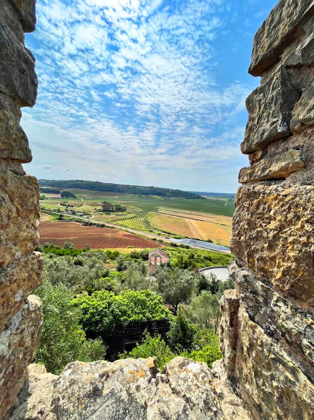 Medieval Market Panoramic View, Portugal