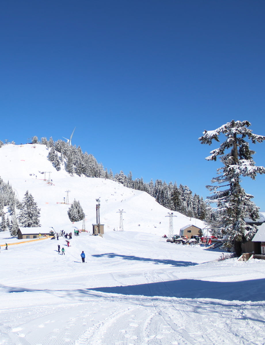 Grouse Mountain, North Vancouver