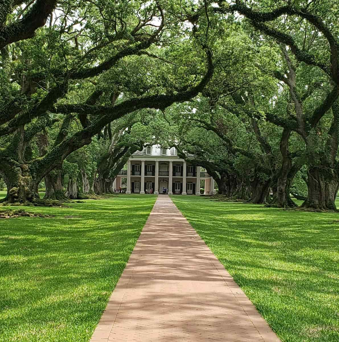 Oak Alley Plantation, near New Orleans Oak Alley Plantation, near New Orleans