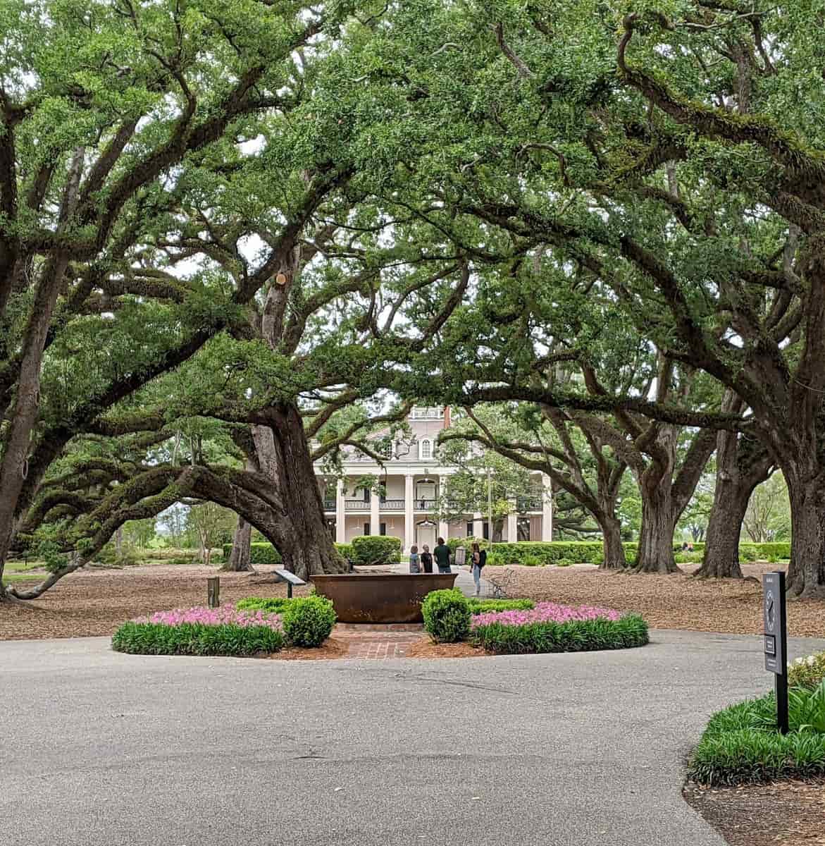 Oak Alley Plantation, near New Orleans Oak Alley Plantation, near New Orleans