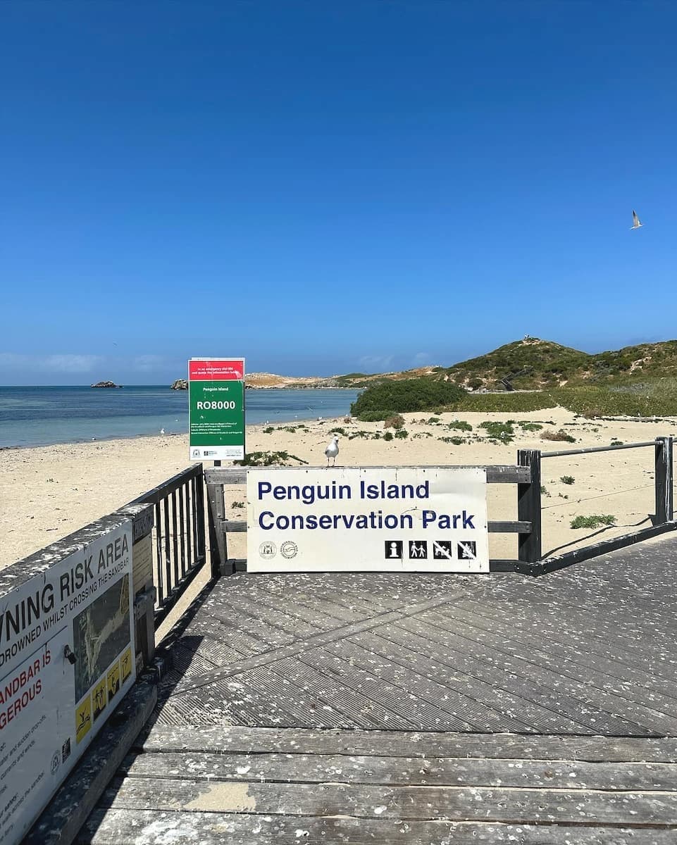 Penguin Island, Petrh