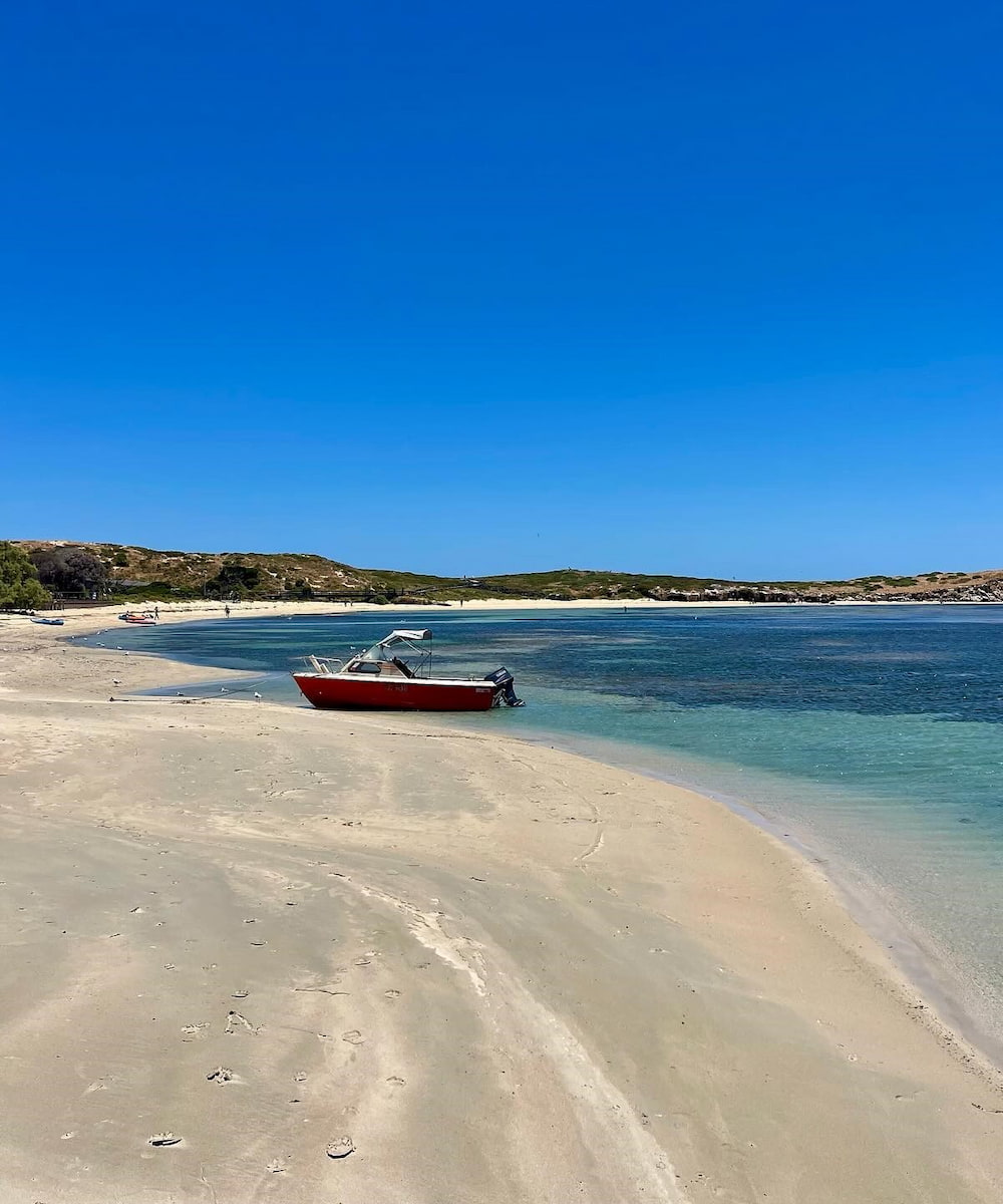 Penguin Island, Petrh