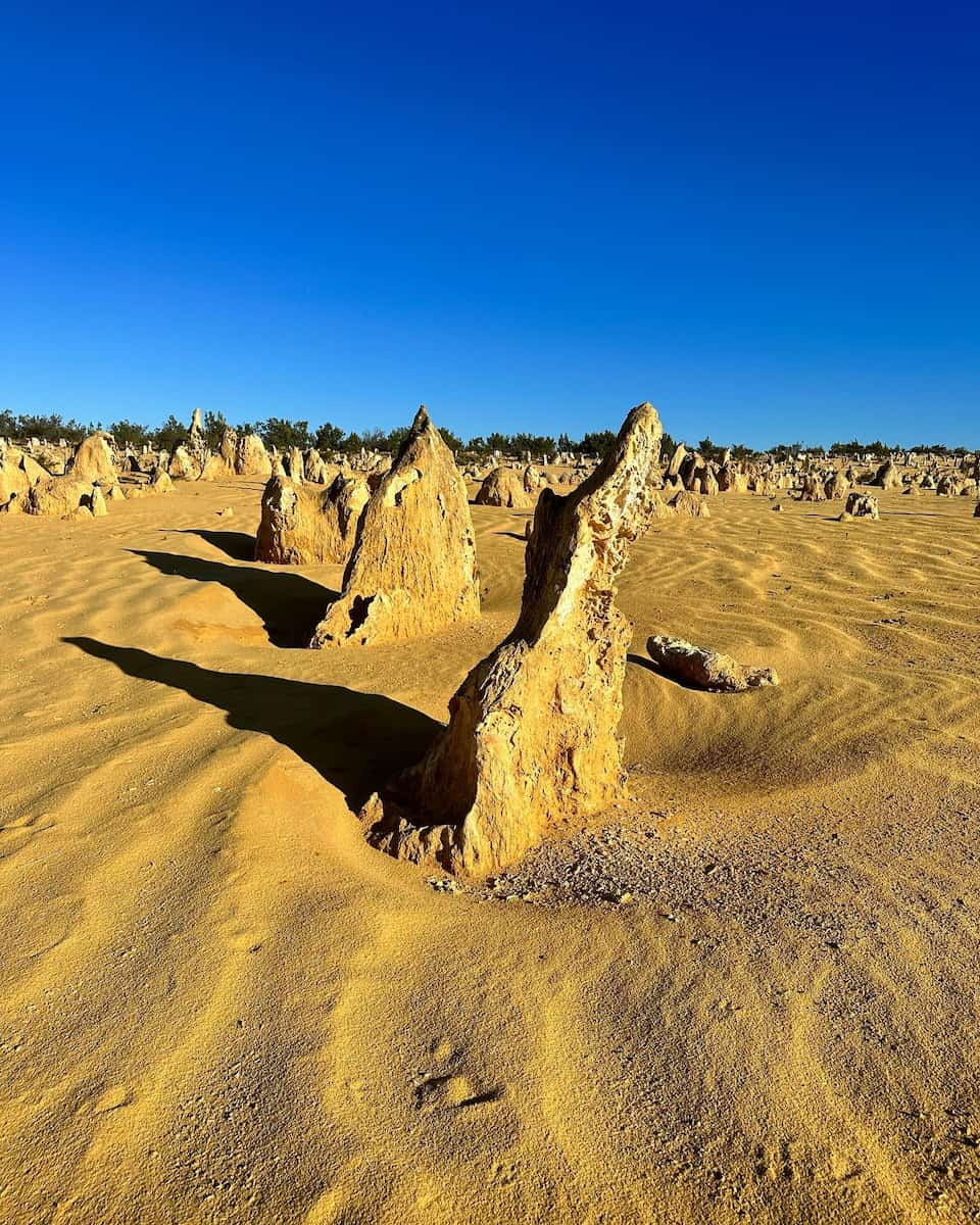 Pinnacles Desert