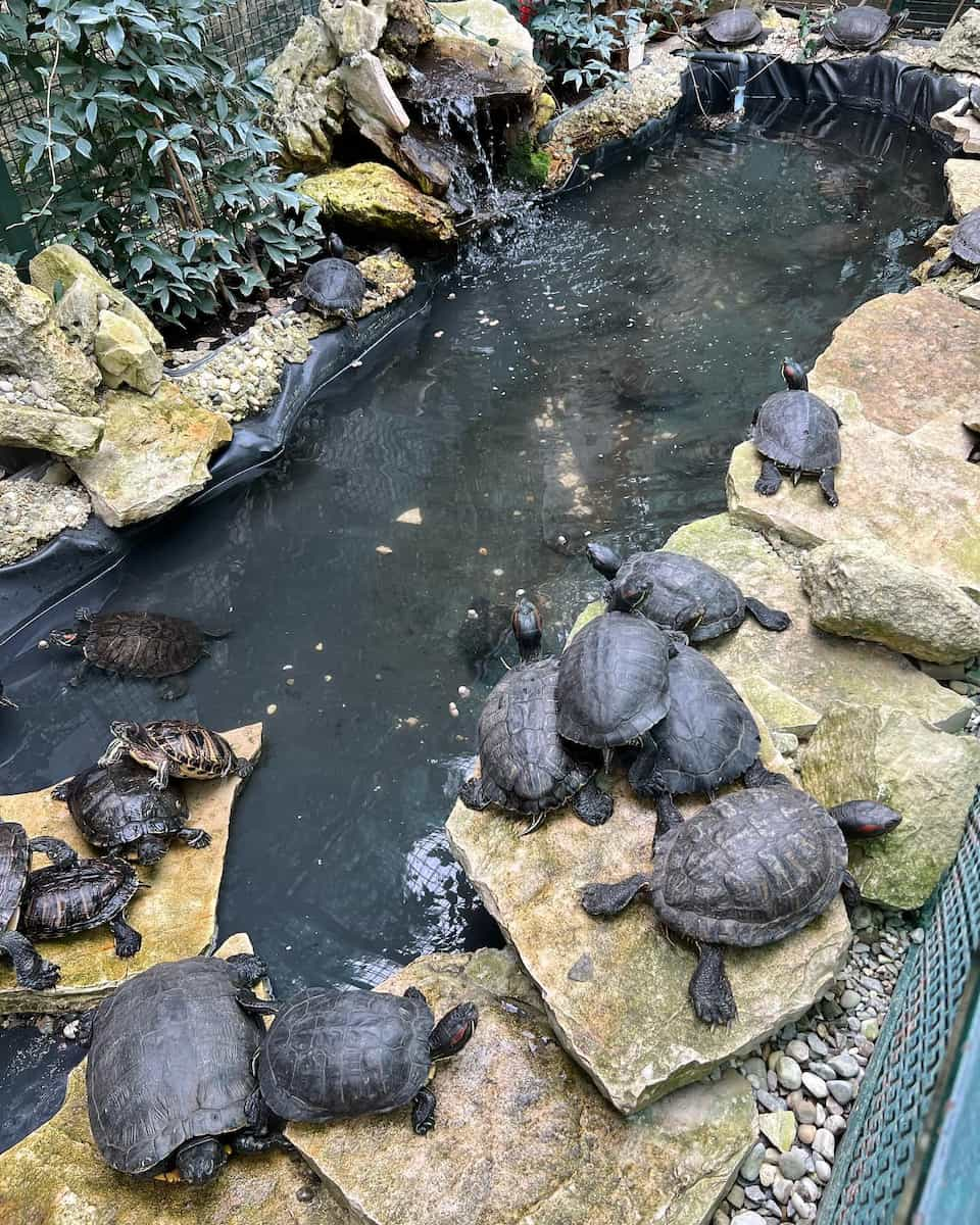 Pula Aquarium, Pula