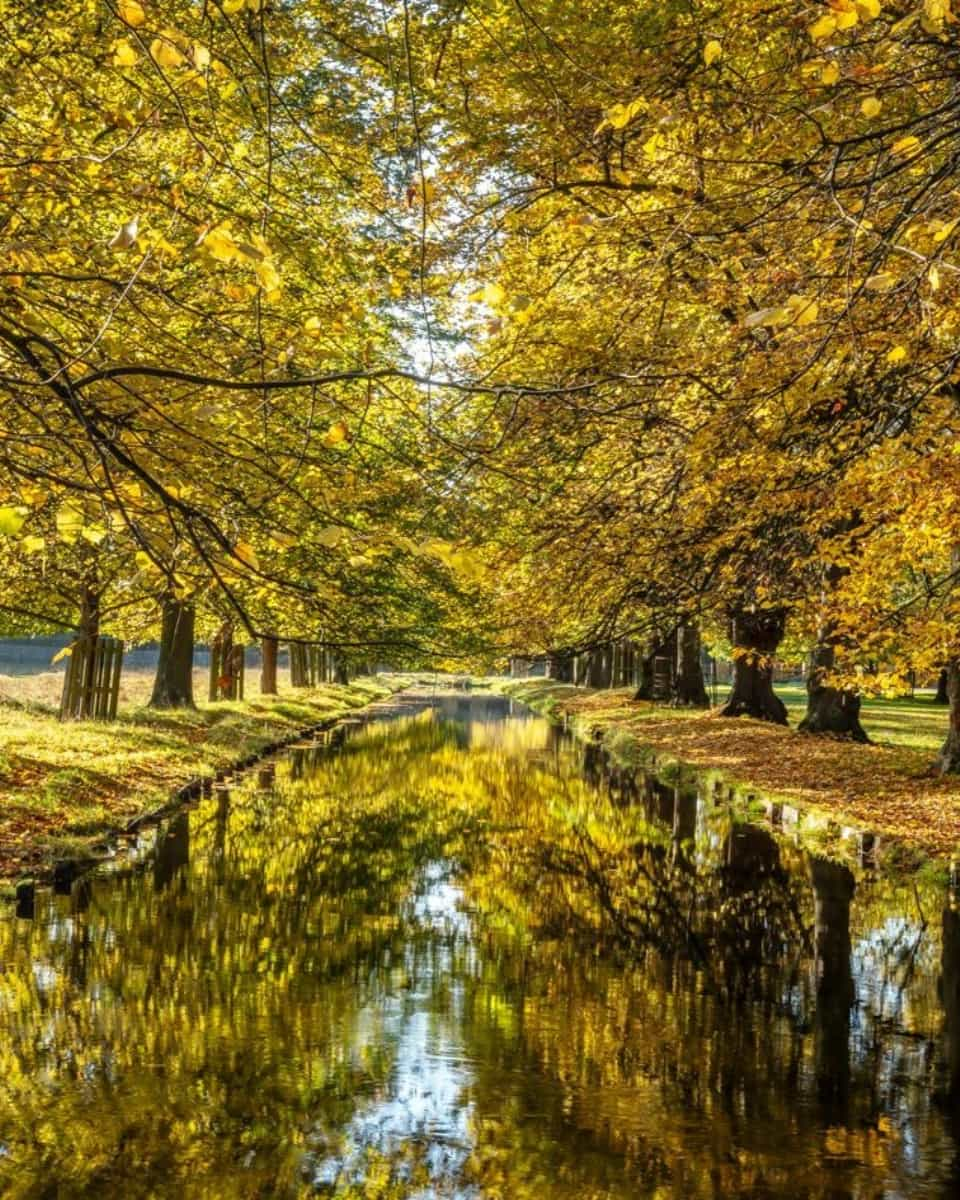 Richmond Park, London