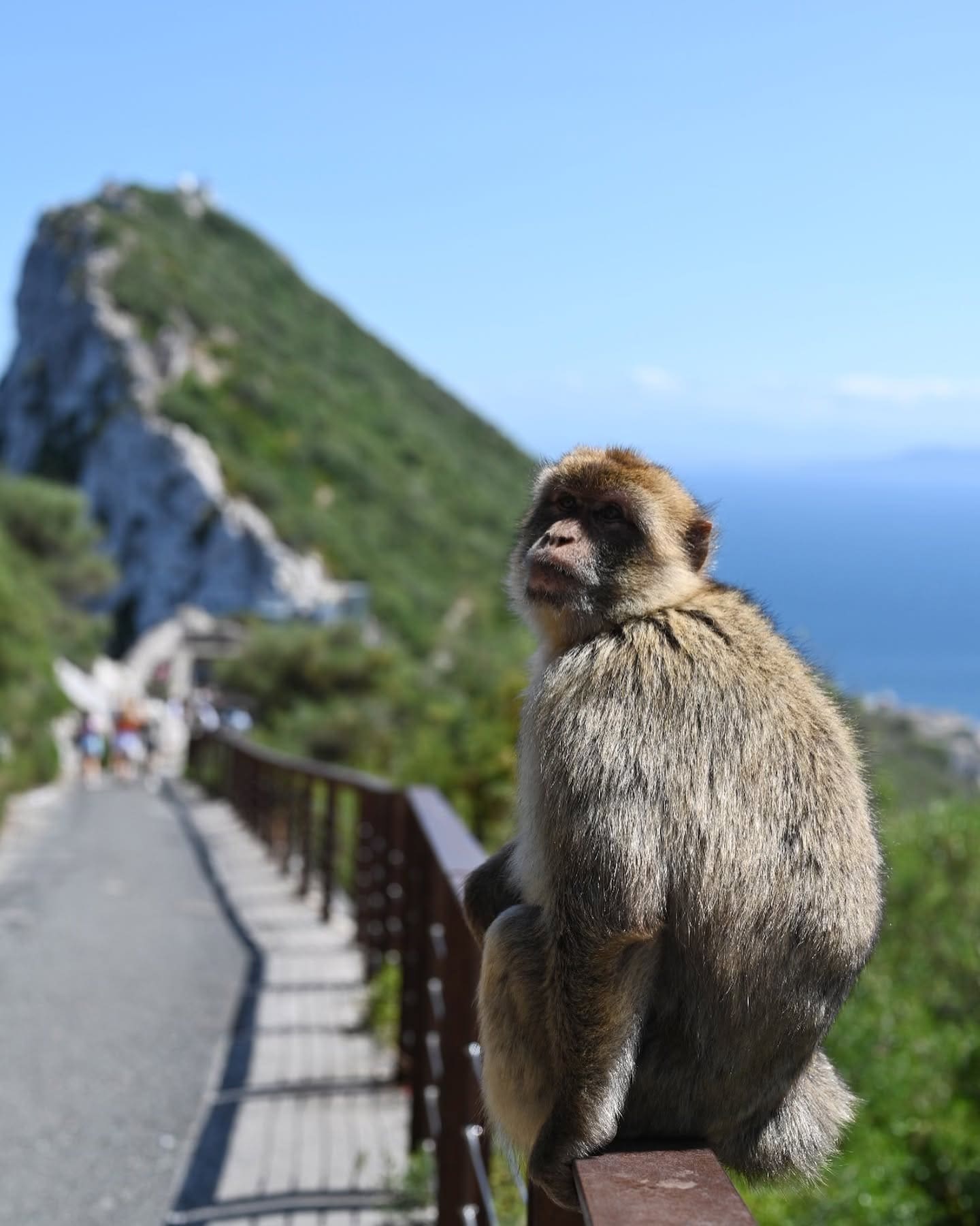 Rock of Gibraltar, Spain