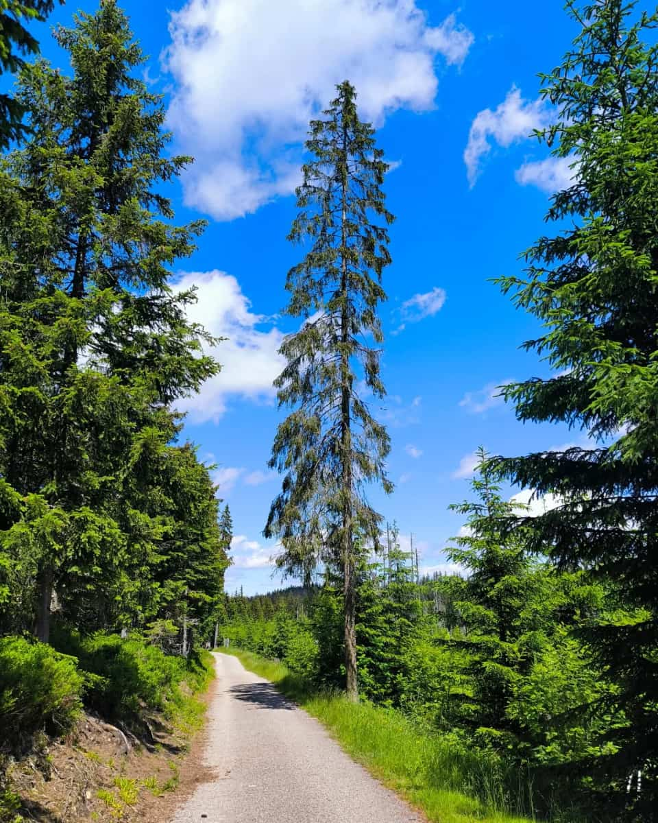 Šumava National Park, Czech Republic