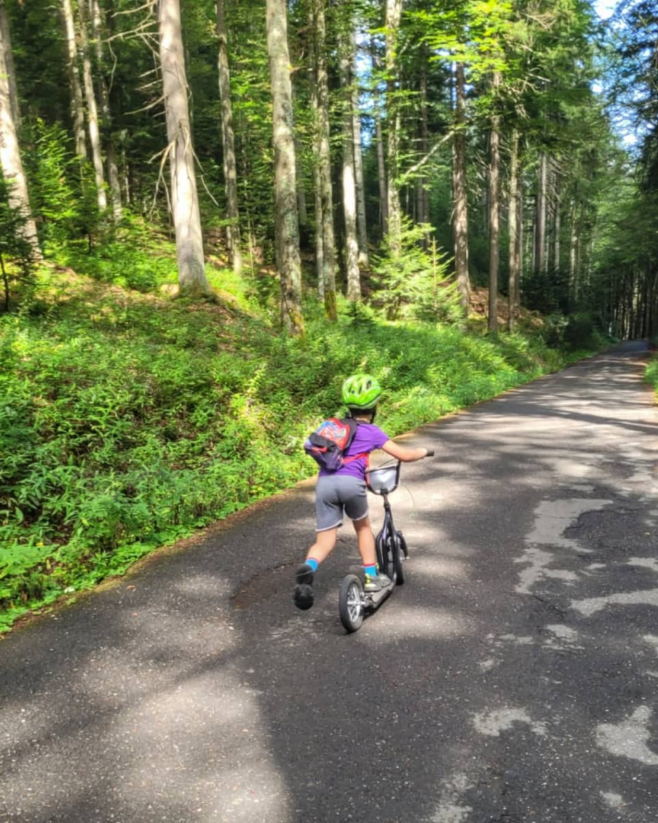 Šumava National Park, Czech Republic