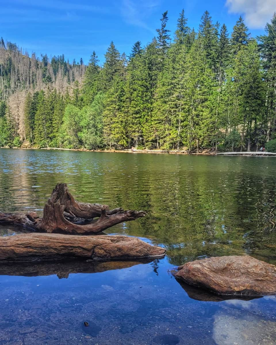 Šumava National Park, Czech Republic