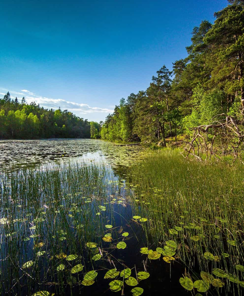 Sweden, Nacka Nature Reserve