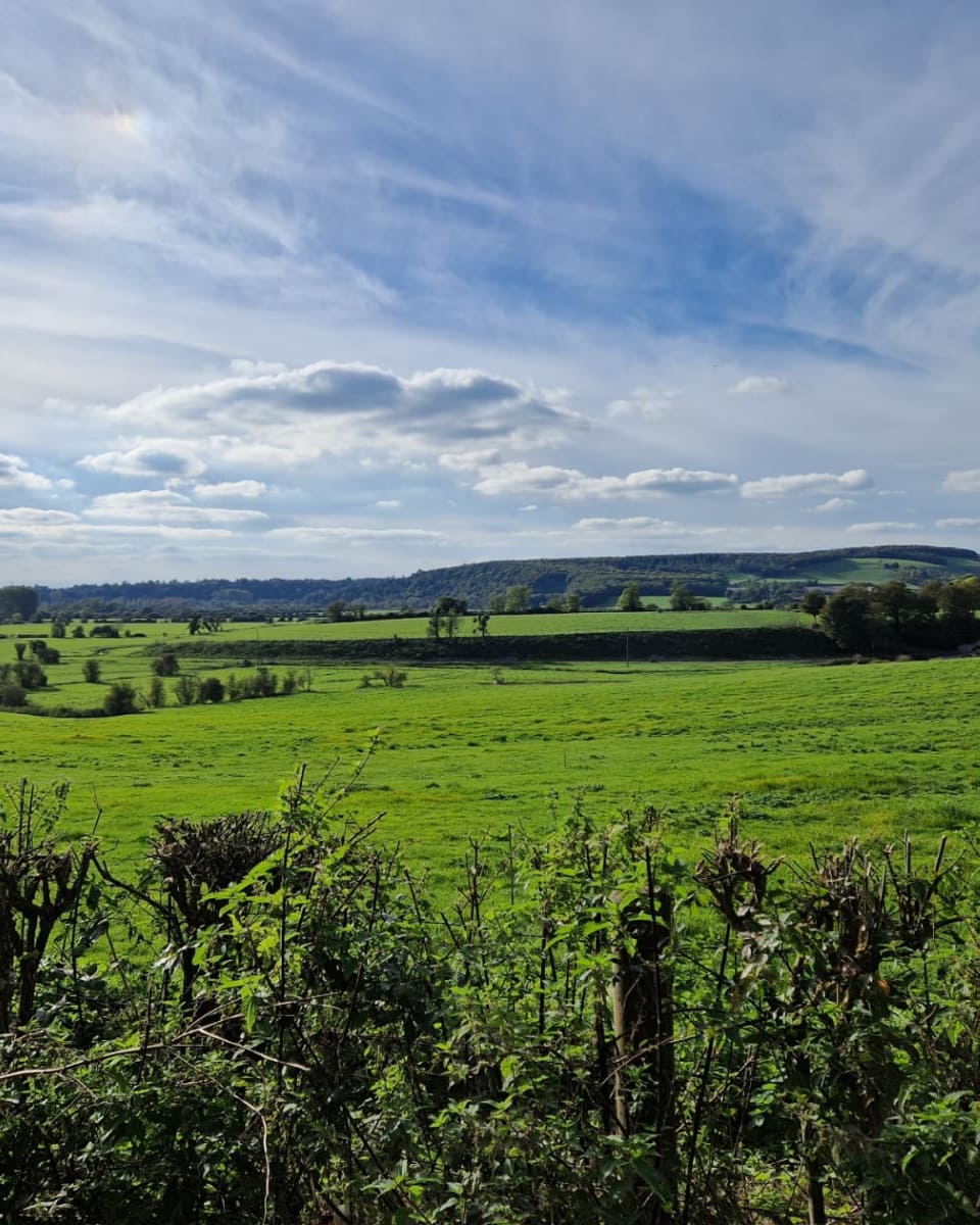 The South Downs National Park, South Downs