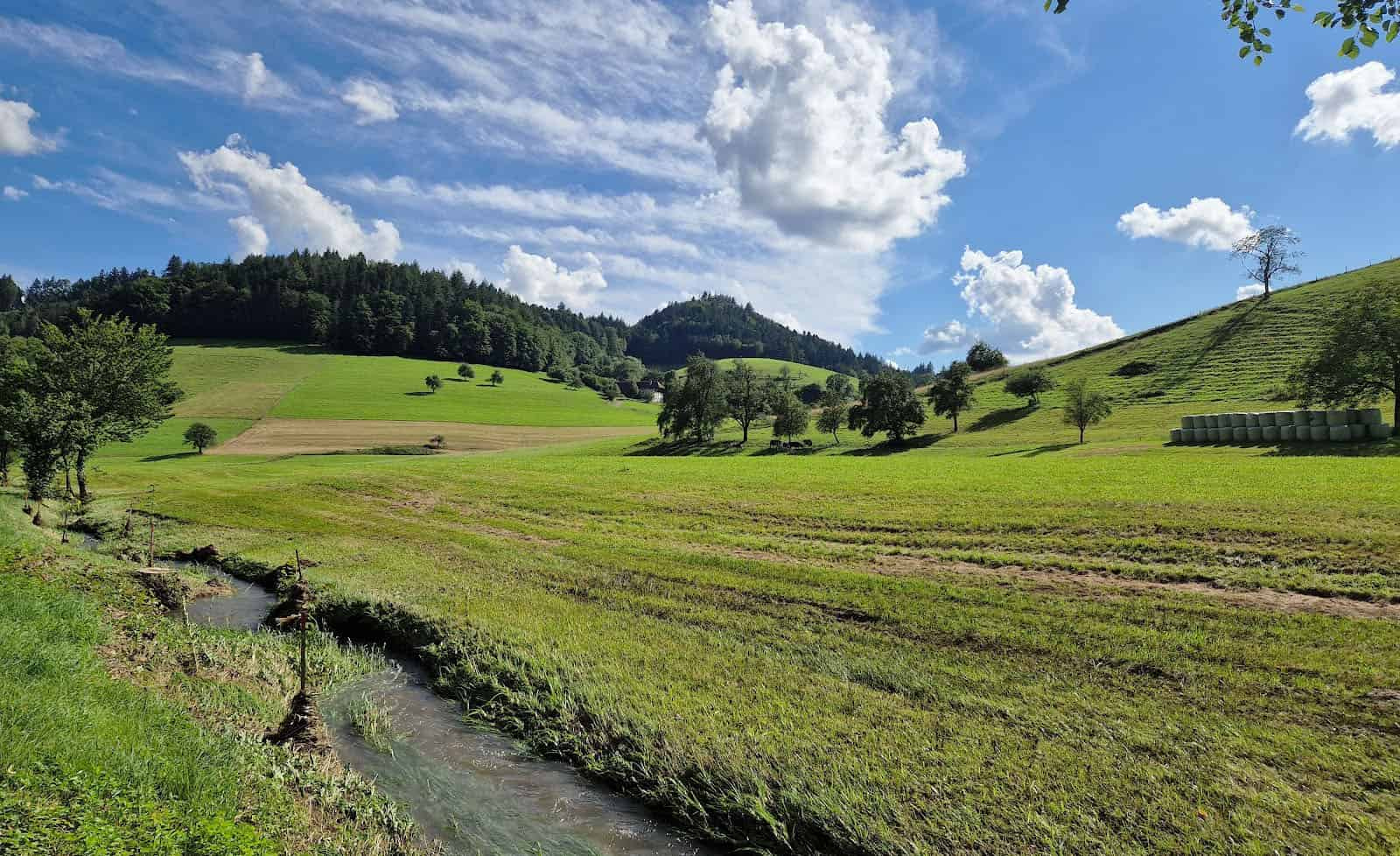 The Black Forest, Germany