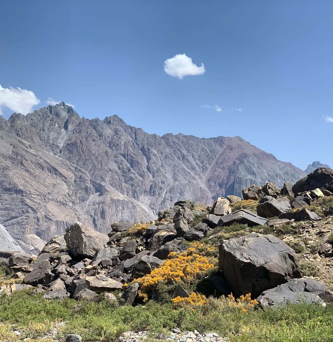 The San Francisco Glacier trail, Chile