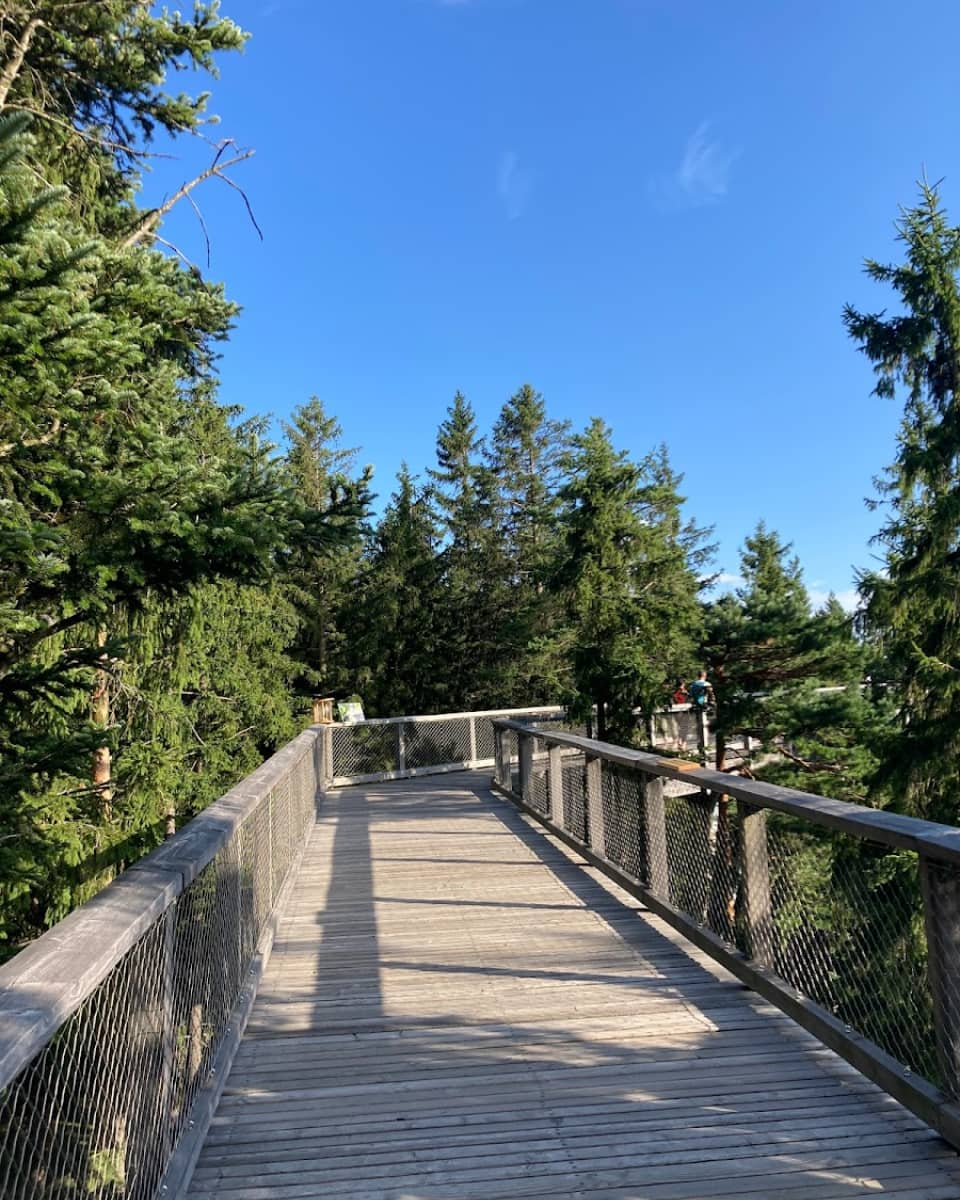 Treetop Trail at Lipno, Czech Republic