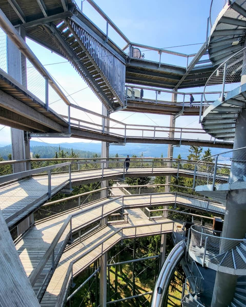 Treetop Trail at Lipno, Czech Republic