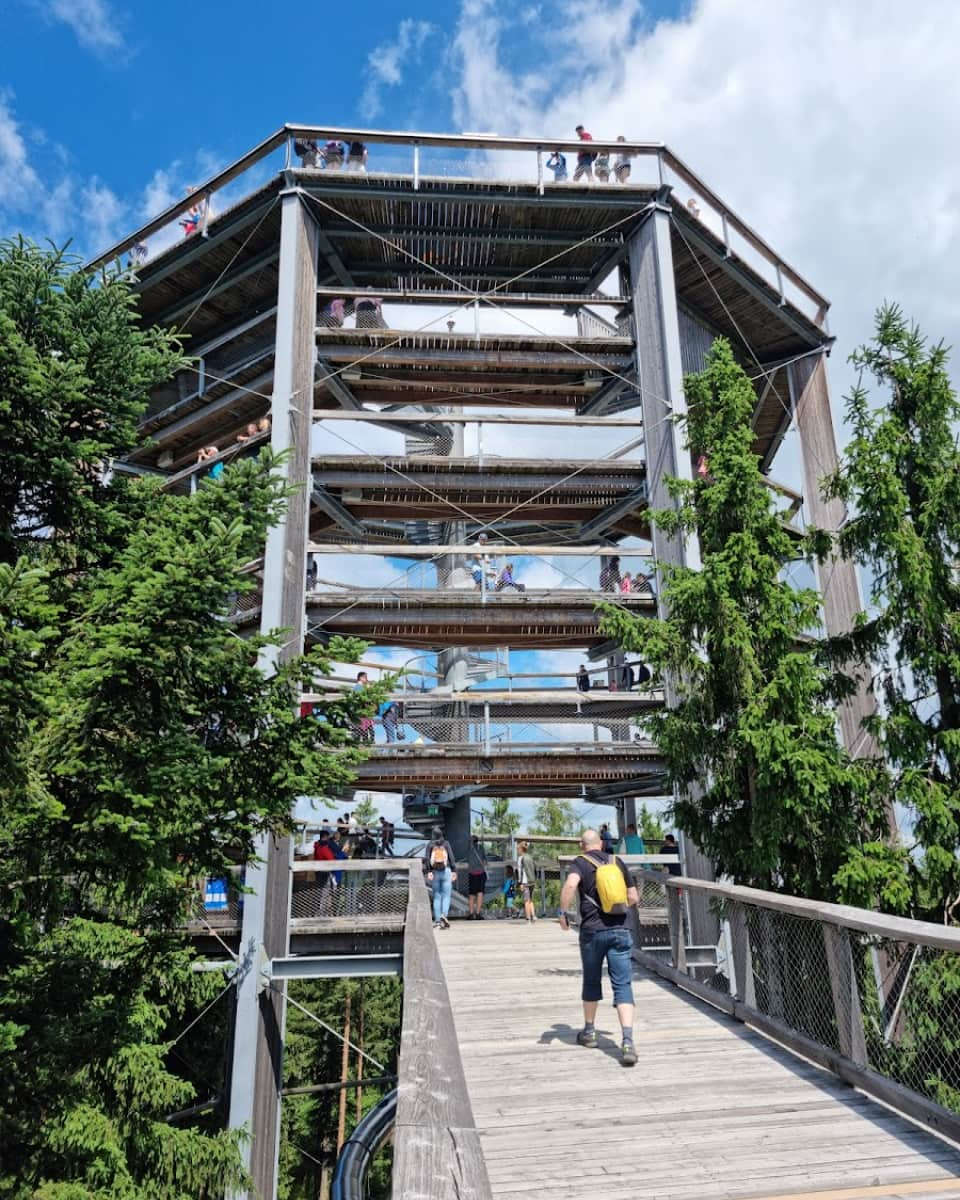 Treetop Trail at Lipno, Czech Republic