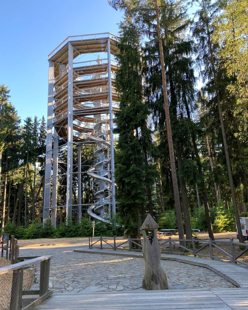 Treetop Trail at Lipno, Czech Republic