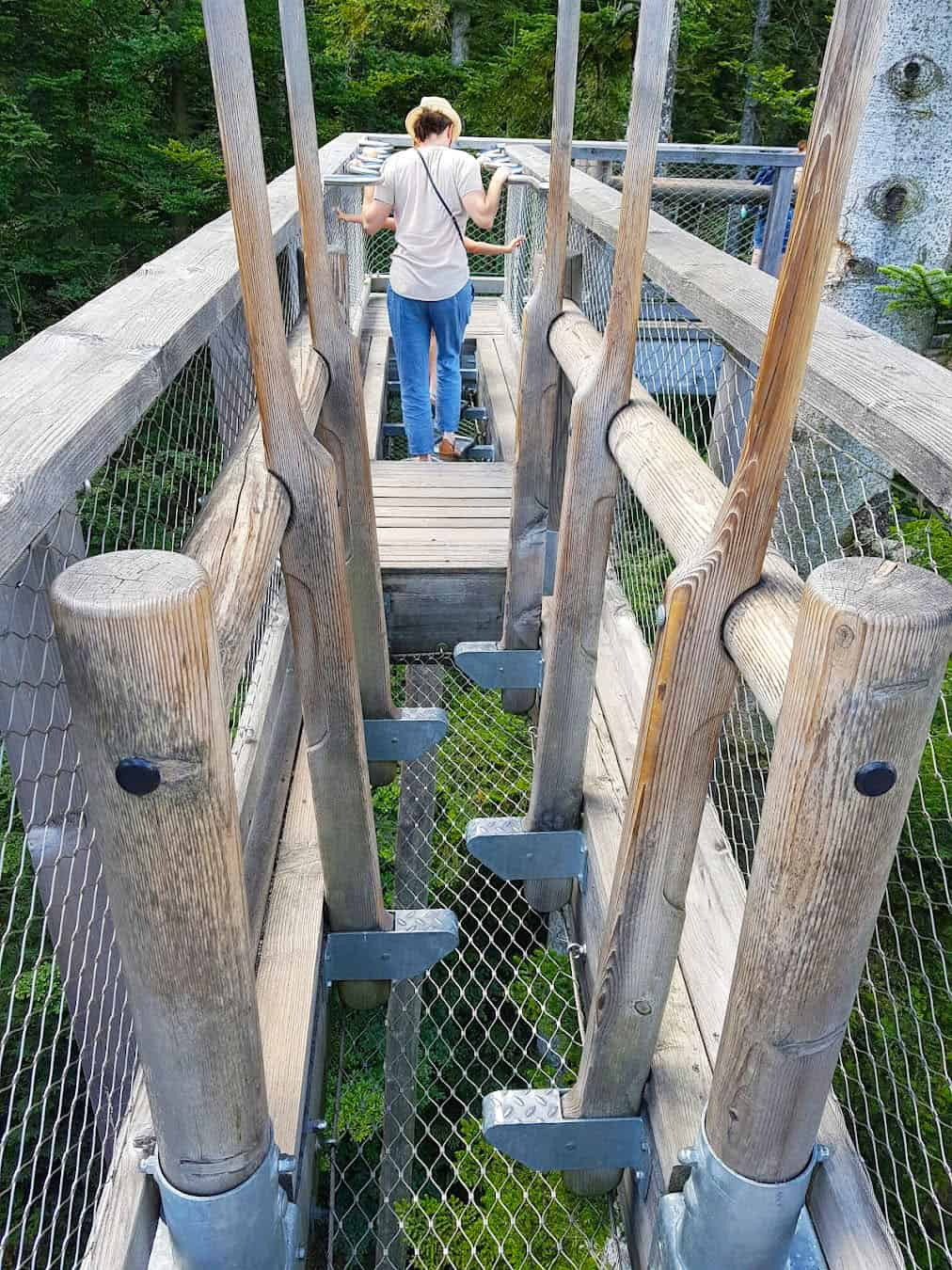 Treetop Walk, Germany