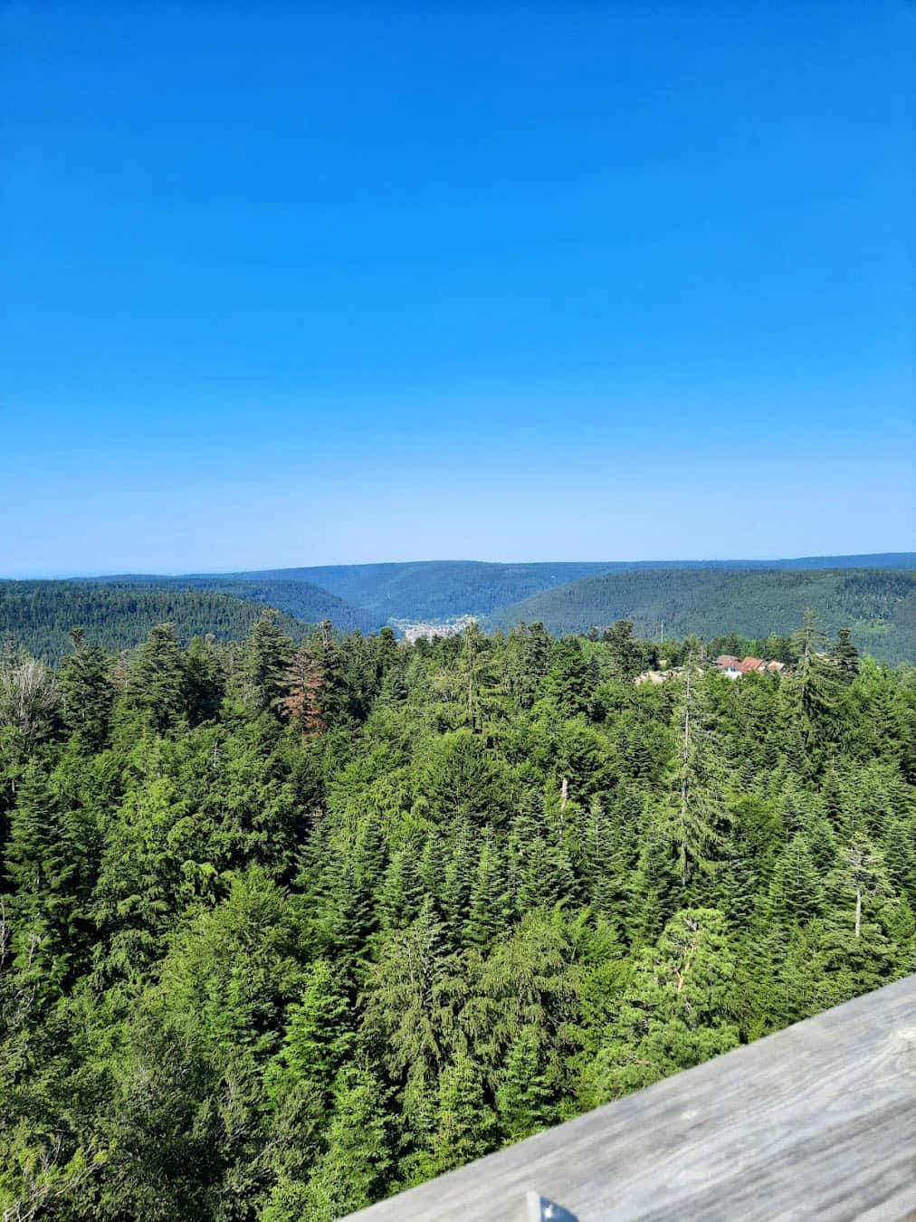 Treetop Walk Panoramic View, Germany