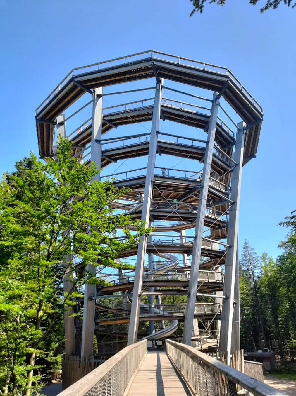 Treetop Walk Tower, Germany